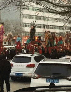 搞笑内涵图:它居然在斜对门的邻居门上结网了!