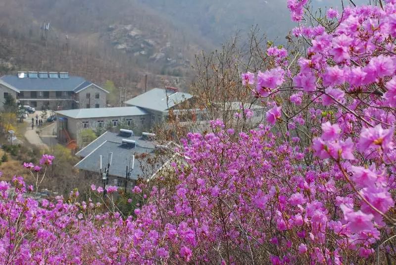 公园内还有著名的辽南第三高峰歇马峰等9处山峰
