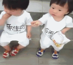 日天日地日空气的泰迪表示，这些都是小意思。