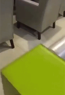 我们一起学喵叫，一起喵喵喵喵？