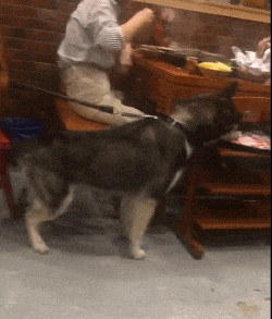 确定过眼神，他是要怼我的人