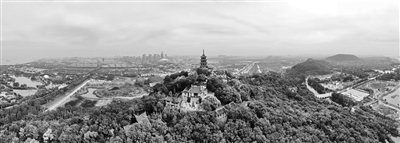 南通滨江建成国家级森林公园