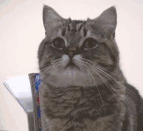 女司机无证超速驾驶酿悲剧 动图 姑娘这手速咋练的?