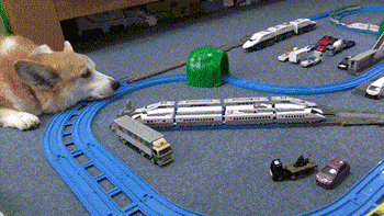 终于认清了女神的真面目!今天的动图有几个顶得住