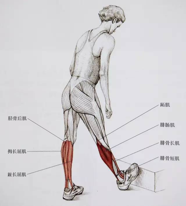 RCpt-heirxye4835254.jpg
