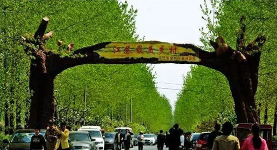 心“宿”春天,情“迁”一周的春色惊喜~