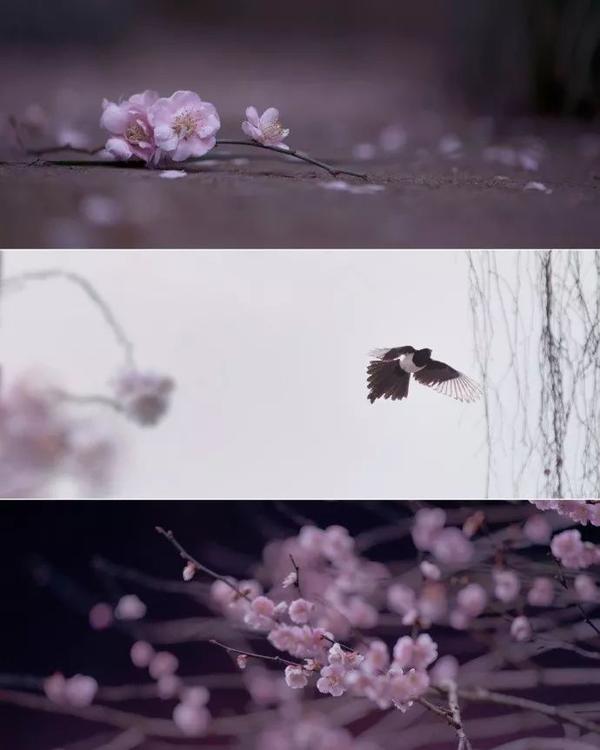 美到令人窒息！80后美女摄影师逃离城市找寻最美江湖
