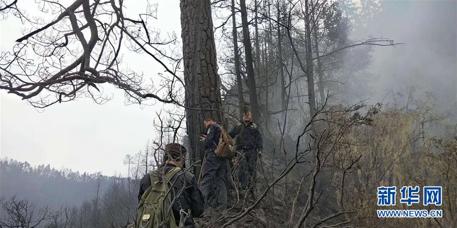 村民雨天在田里插秧 遭雷电击中不幸身亡