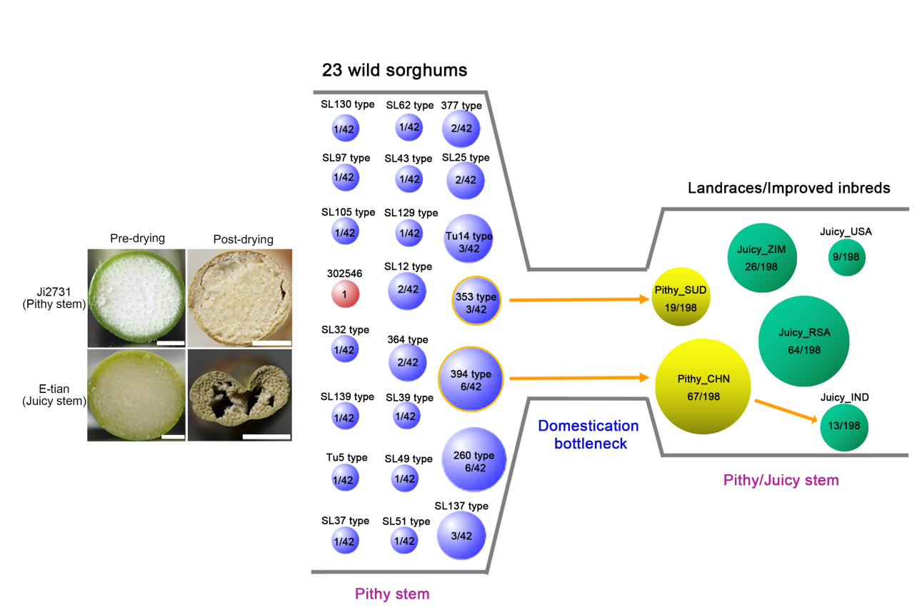 生物 人口_人口老龄化