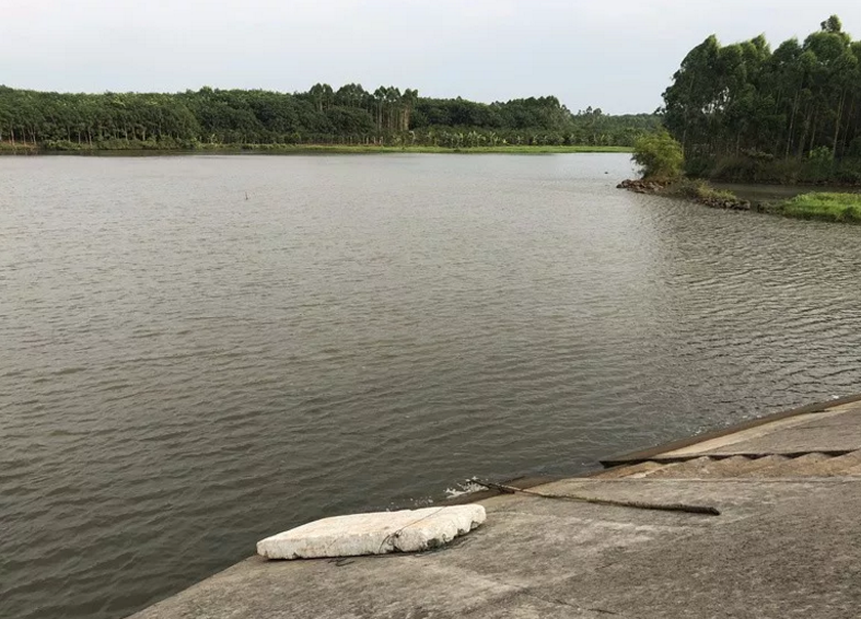 心痛!临高4名初一女生水库中溺水 全部不幸身