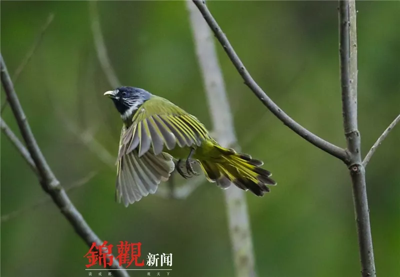 ag亚游怎么分辨真假 陕西通报4起扶贫领域形式主义问责案例
