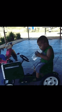 日天日地日空气的泰迪表示，这些都是小意思。