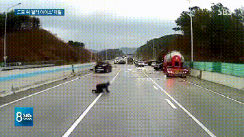 爬起来就跑(SBS山东快三网投app—主页22270.COM闻)