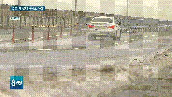 “黑冰”(SBS山东快三网投app—主页22270.COM闻)