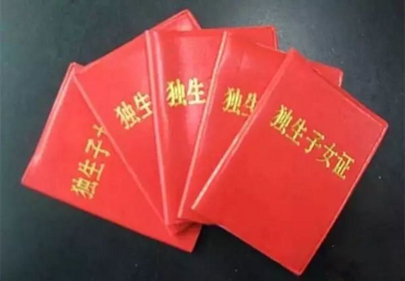 广东人口计划生育条例_广东生育登记表样本图(3)