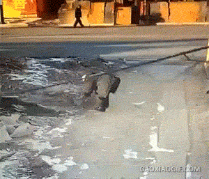 老铁，为什么要叫醒我？让我快活一下不好吗？