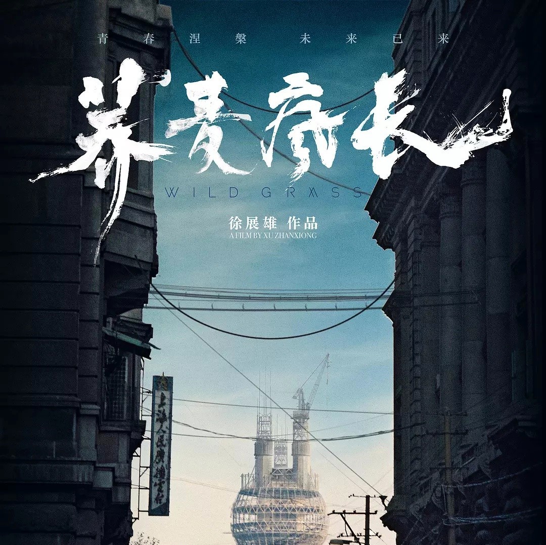 马思纯 钟楚曦 黄景瑜《荞麦疯长》,文艺商业片新类型?