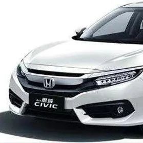 刚买本田思域表面全是气泡 4S店回应：因昆虫排泄物导致！