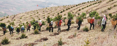 今年四月十九日，当地群众在渭源县峡城乡脱甲山植树。