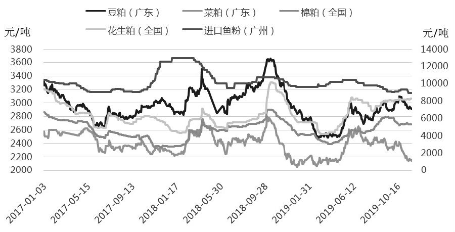 cc网投平台怎么做代理|冬季养护杜鹃花,注意这几点,花苞统统盛开