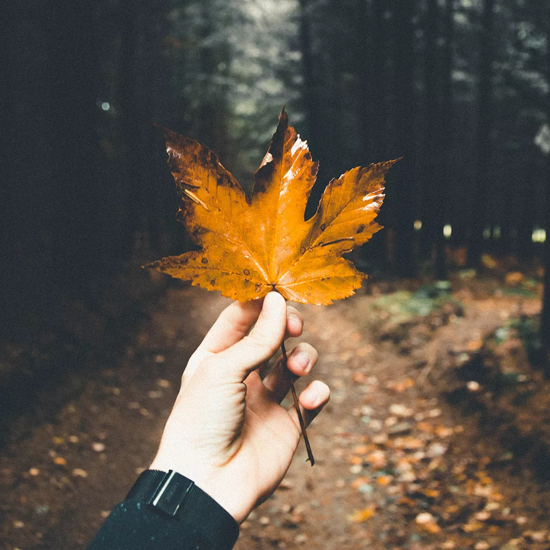 为你解忧,A股熊市长啥样?|上证综指_新浪财经