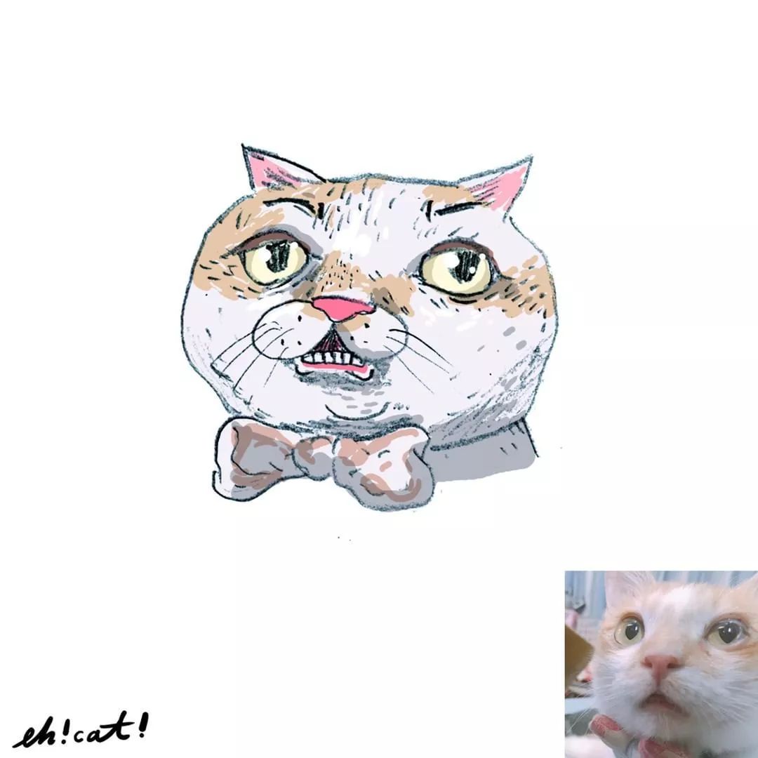 品牌丨画风极酸爽的灵魂画手,把你家猫画成超搞笑表情