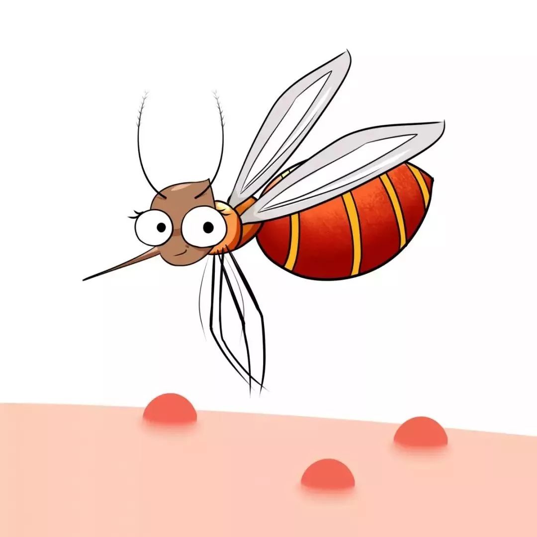 卡通蚊子图片素材-编号10024380-图行天下