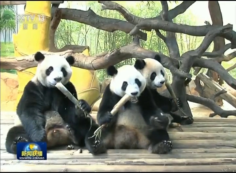 惬意度假 共享好生活