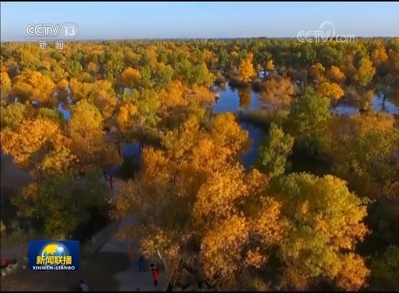 惬意度假 共享好生活