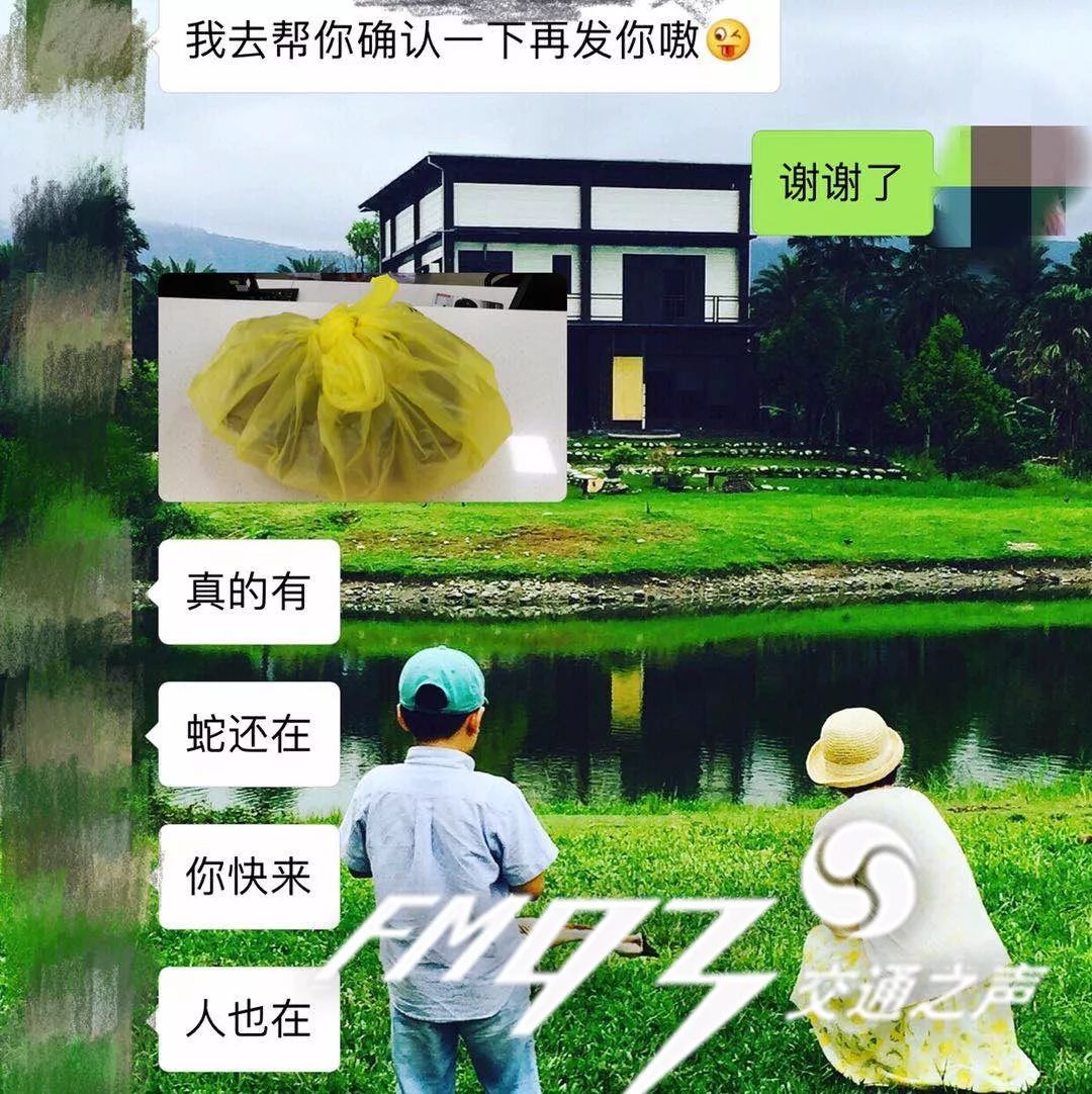 小伙轻生网购银环蛇咬自己 尚未脱离生命危险