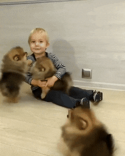 这张床上有我想要的一切!动图 而你只能舔五姑娘