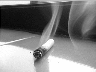 揭秘!120种一类致癌物!这种大连人爱吃的鱼,