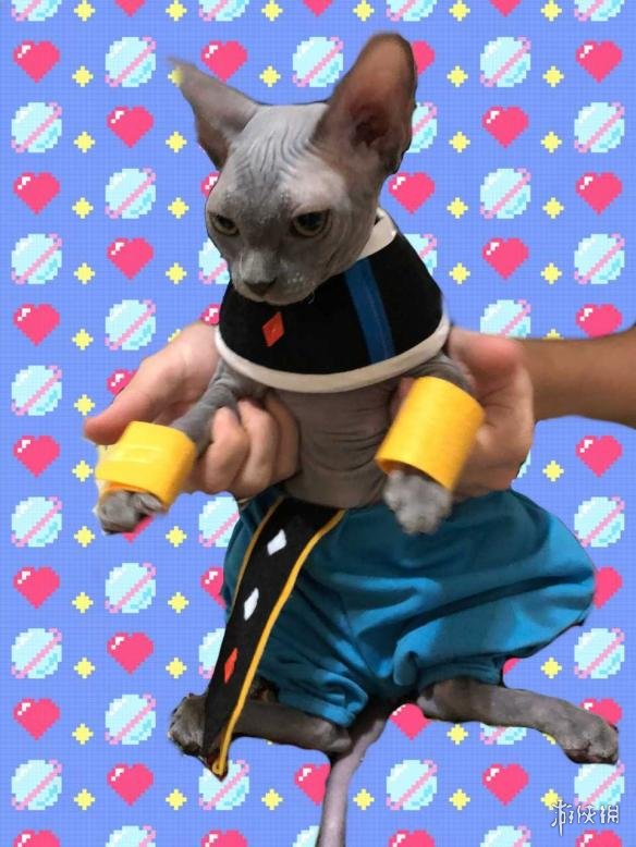 蓝色的猫cos _eTF-hhnunsq0565913.jpg