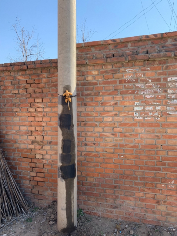 春天到了万物复苏的季节 每日轻松一刻3月24日周末版