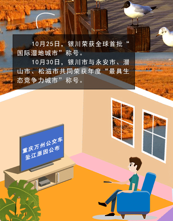 600_764 竖版 竖屏