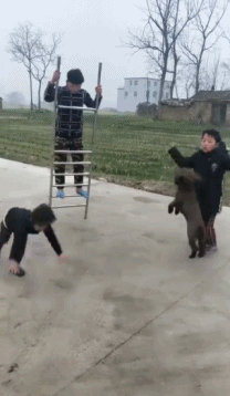 我拿你当宠物你却想上我 动图 你这是龟口夺食啊!