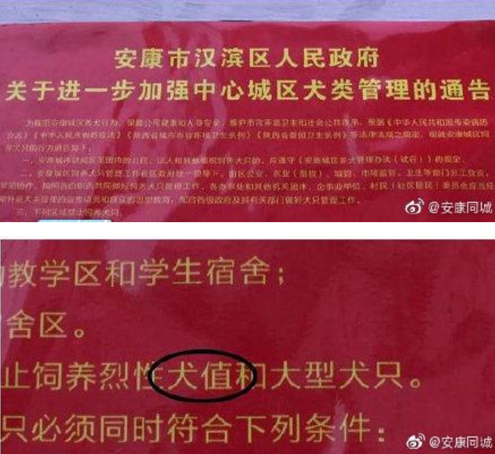 百家樂大小怎样赢_父母别错把孩子的敏感期表现当成不乖的行为斥责