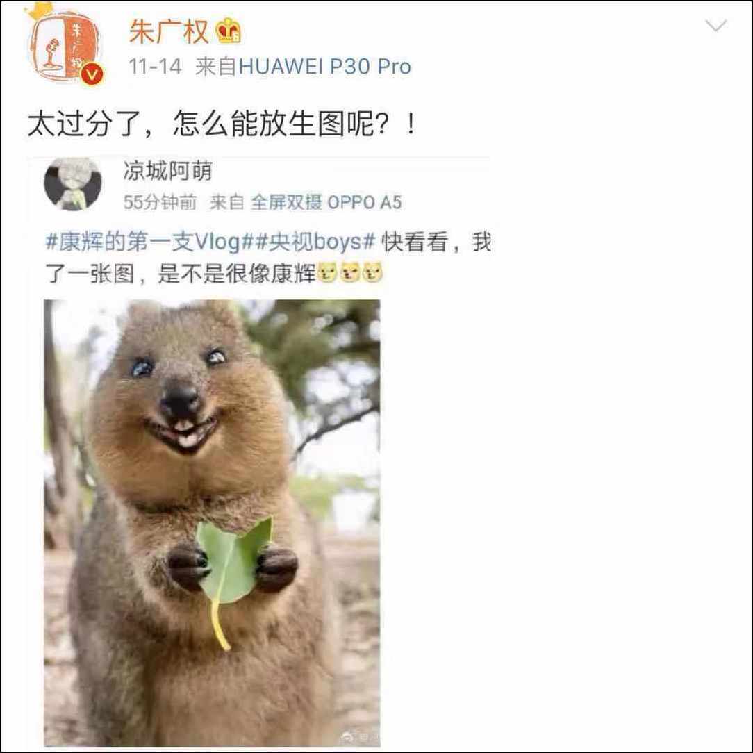 朱广权遇到房辉峰“对手”了 央视两大主持人“