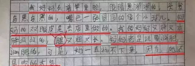 小学生作文《我的妈妈》,减肥、购物、追剧…