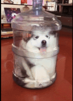 小姐姐，是谁给你的勇气来张开双臂的？