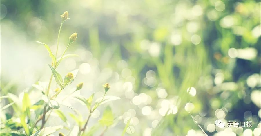 2018年江苏语文高考同题作文第二波来袭!