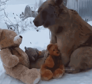 醒醒吧,你没有儿子,连女朋友都没有