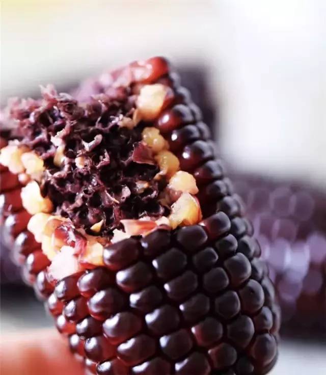 香甜软糯的有机黑糯玉米来了,好吃不胖!