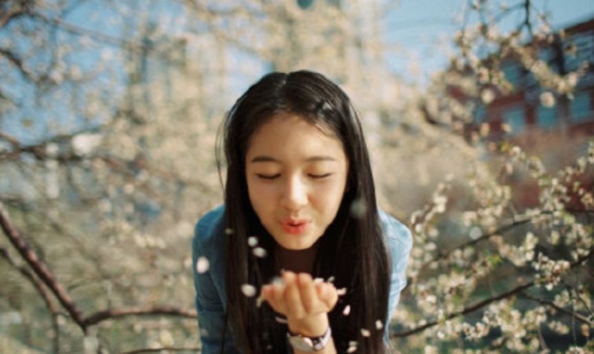 樱花女神大PK!杨幂baby倪妮李沁刘雯谁魅力强?