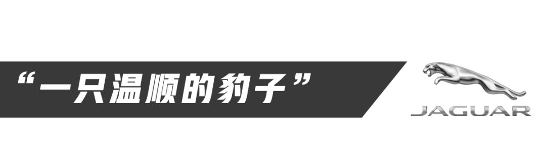 300匹马力、全铝车身，30岁左右开这车100%人生赢家！