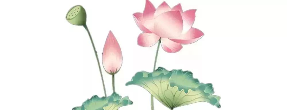 张艺兴团队把控?朱正廷皮肤?华晨宇离开天娱