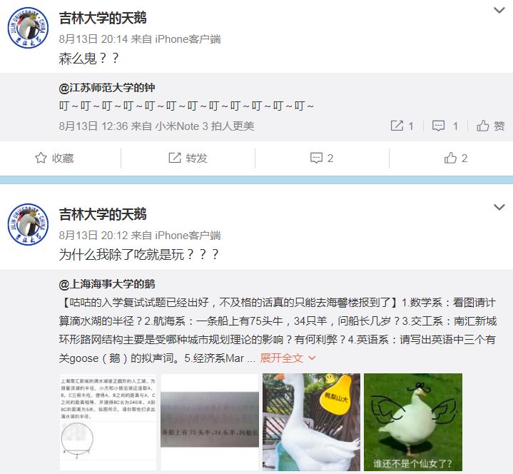 一只非常英俊的大白鹅拿到大学录取通知书!各