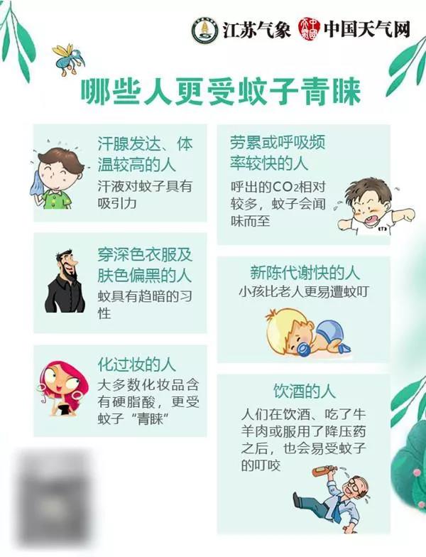 如何防蚊更有效?
