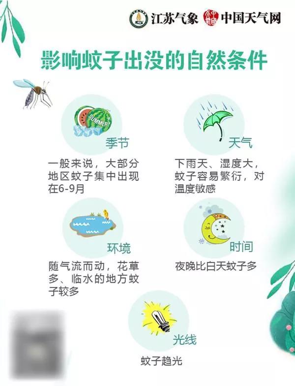 哪些人更受蚊子“青睐”?