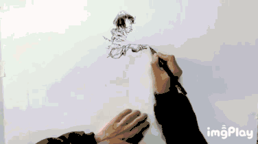 又一档脑洞大开的真人秀来了